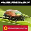 imageCatchmaster Japanese Beetle Traps Outdoor 3PK Flying Insect Trap Bag with Dual Pheromone Food Lure Hanging Bug Catcher for Backyard ampamp Garden Pest Control for Plants Trees Vegetables ampamp Flowers3Pack with Lids