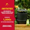 imageCatchmaster Oasis OviMini Mosquito Trap Refill 8Pack Home Outdoor Mosquito Control Pet Safe Backyard Insect Killer Replacement Glue Boards Bug Catcher Pool Patio Shed ampamp Garden Pest ControlTraps 4Pack