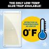imageCatchmaster Rat Snake and Mouse Traps 12Pk Large Bulk Glue Rat Traps for Home Adhesive Plastic Tray for Inside House Snake Mice ampamp Spider Catcher Pet Safe Pest Control6 Pack