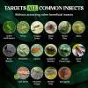 imageCatchmaster XL AG Roll 2PK Double Sided Adhesive Fly Tape Strips Fungus Gnat Sticky Trap for Greenhouse Garden Nursery Pest Control Gardening Supplies Pet Safe Insect Trap 328 x 12quot BlueBlue