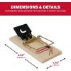 imageInstant Kill Mouse Snap Traps by Catchmaster  72 Count Ready for Use Indoors ampamp Outdoors Wood DoubleTension Springs WeatherResistant CorrosionResistant Disposable PoisonFree NonToxic72