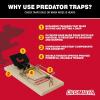 imageInstant Kill Mouse Snap Traps by Catchmaster  72 Count Ready for Use Indoors ampamp Outdoors Wood DoubleTension Springs WeatherResistant CorrosionResistant Disposable PoisonFree NonToxic72
