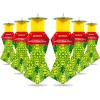 6-Pack with Lids