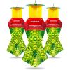 imageCatchmaster Japanese Beetle Traps Outdoor 3PK Flying Insect Trap Bag with Dual Pheromone Food Lure Hanging Bug Catcher for Backyard ampamp Garden Pest Control for Plants Trees Vegetables ampamp Flowers3Pack with Lids