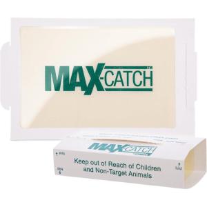 imageCatchmaster MaxCatch Mouse ampamp Insect Glue Trap 72pk Mouse Traps Indoor for Home Sticky Pest Control Adhesive Tray for Catching Bugs Non Toxic Bulk PreBaited Glue BoardsUnscented