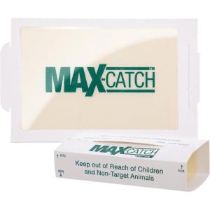 imageCatchmaster MaxCatch Mouse ampamp Insect Glue Trap 72pk Mouse Traps Indoor for Home Sticky Pest Control Adhesive Tray for Catching Bugs Non Toxic Bulk PreBaited Glue BoardsScented