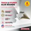 imageCatchmaster Clothes Moth Traps for House 6PK Wardrobe Closet Storage Glue Traps Sticky Bug Catcher Indoor with Pheromone Odorless Adhesive Flying Insect Trap Protect Clothing Pet Safe Pest Control6 Traps