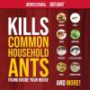 imageCatchmaster DEFIANT Premium Liquid Ant Killer 1Year Supply Kills the Queen and Colony No Mess Precision Bottle Reusable Ant Traps Indoor ampamp Outdoor Pest Control Traps Made in USALiquid Bait  Stations