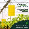 imageCatchmaster GRO Yellow Regular Double Sided Sticky Traps 72PK Adhesive Bug ampamp Fruit Fly Trap Pest Control for Home Farm Garden Hydroponics ampamp Greenhouse Protect Live Plants Indoor ampamp OutdoorYellow