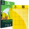 imageCatchmaster GRO Yellow Regular Double Sided Sticky Traps 72PK Adhesive Bug ampamp Fruit Fly Trap Pest Control for Home Farm Garden Hydroponics ampamp Greenhouse Protect Live Plants Indoor ampamp OutdoorYellow