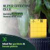 imageCatchmaster GRO Yellow Regular Double Sided Sticky Traps 72PK Adhesive Bug ampamp Fruit Fly Trap Pest Control for Home Farm Garden Hydroponics ampamp Greenhouse Protect Live Plants Indoor ampamp OutdoorYellow