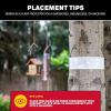 imageCatchmaster Tree Shield Lantern Fly ampamp Ant Traps Insect Barrier 4 Rolls 30ft Each Outdoor Adhesive Crawling Insect Trap Glue Traps to Protect Trees Fruit ampamp Plants Pest Control Lawn ampamp Garden12 Rolls