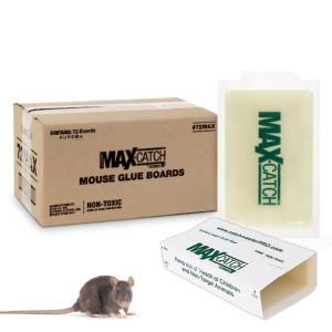 imageCatchmaster 72MB Glueboards QTY 12 Glueboards 602534 by Catchmaster