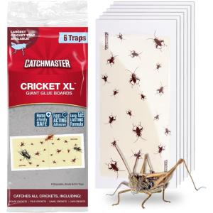 imageCatchmaster Cricket XL Giant Glue Boards 6Pk Adhesive Bug Catcher Cricket Traps Indoor Sticky Trap for Inside Your Home Bulk Insect Killer Insect Traps for House ampamp Garage Pet Safe Pest Control6Traps