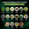 imageCatchmaster GRO Yellow PreCut Ready to Use Sticky Traps 50PK Bug ampamp Fly Trap with Center Hole for Crawling Insects Pest Control for Home Garden ampamp Greenhouse Protect Live Plants Indoor ampamp OutdoorYellow