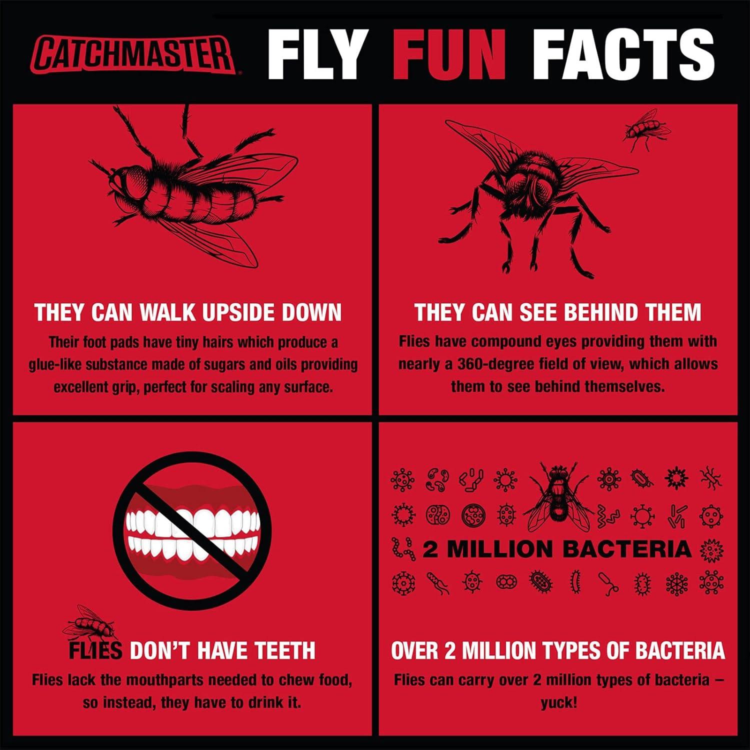 imageCatchmaster SilenTrap Flying Insect Trap Replacement Boards 6Pk Electric Fly Traps for Indoors Bug Catcher Refill Glue Boards UV Light AntiMosquito Device ampamp Gnat Killer Pet Safe Home Pest ControlReplacement Refill Glue Boards  6 Boards