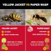 imageCatchmaster Yellow Jacket Hornet ampamp Wasp Trap Jar 2Pk Reusable Bug Catcher with Attractant Outdoor Flying Insect Trap Wasp Killer Bug Trap Pet Safe Pest Control for Backyard Patio ampamp ShedJar Trap 2Pk