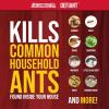 imageCatchmaster Defiant Liquid Ant Bait  8 Heavy Duty Reusable Stations 4 Classic Stations MultiSurface Ant Killer for Home Kills The Queen and Colony No Mess Precision Bottle Reusable Traps