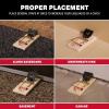 imageInstant Kill Mouse Snap Traps by Catchmaster  72 Count Ready for Use Indoors ampamp Outdoors Wood DoubleTension Springs WeatherResistant CorrosionResistant Disposable PoisonFree NonToxic12