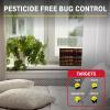 imageCatchmaster Window Fly Traps Decorative 12Pack Gnat and Fruit Fly Strips for Indoor Disposable Discreet Bug Catcher Insect Sticky Glue Traps Adhesive Pest Control for Home amp Kitchen